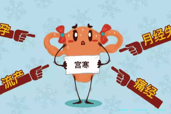 2025年苏州附属      第一医院可以用别人的卵泡做试管婴儿吗？费用多少
