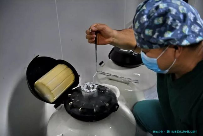 厦门安宝医院试管婴儿探讨