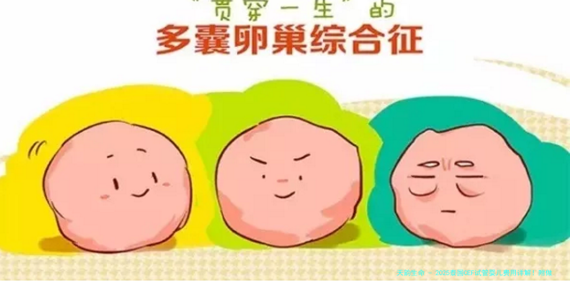 2025泰国CEF试管婴儿费用详解！附做三代试管的推荐