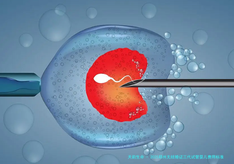 2025郑州无结婚证三代试管婴儿费用标准及预算