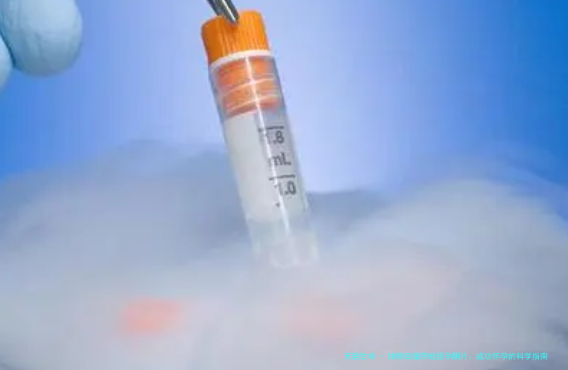排卵后服用地屈孕酮片：成功怀孕的科学指南与真实经验分享