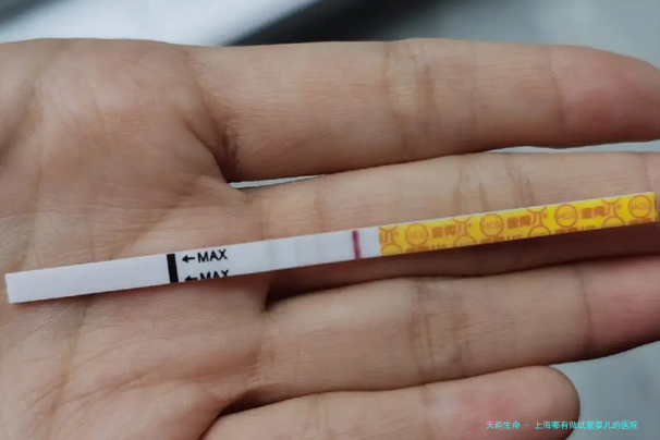 上海哪有做试管婴儿的医院