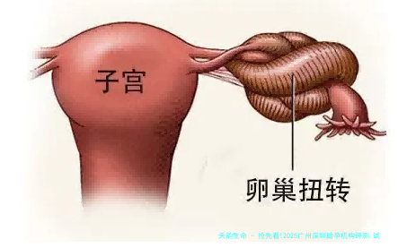 抢先看!2025广州深圳助孕机构评测,试管婴儿费用透明化!