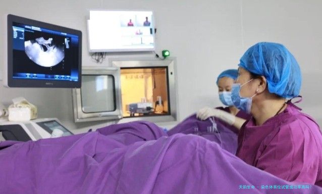 染色体易位试管成功率高吗？