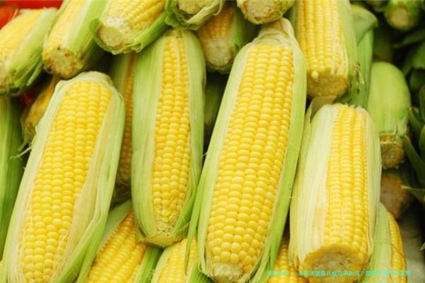 泰国试管婴儿成功率如何？昆明不孕不育家庭如何选择合适方案？