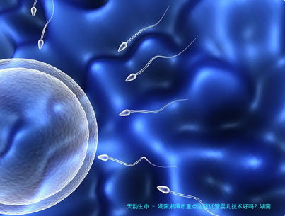 湖南湘潭市重点医院试管婴儿技术好吗？湖南长沙试管婴儿哪家医院好？