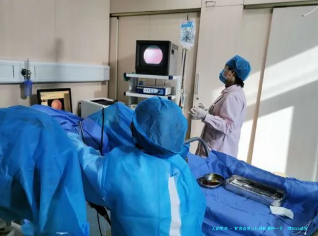 甘肃省做三代移植费用一览，附2026试管婴儿明细