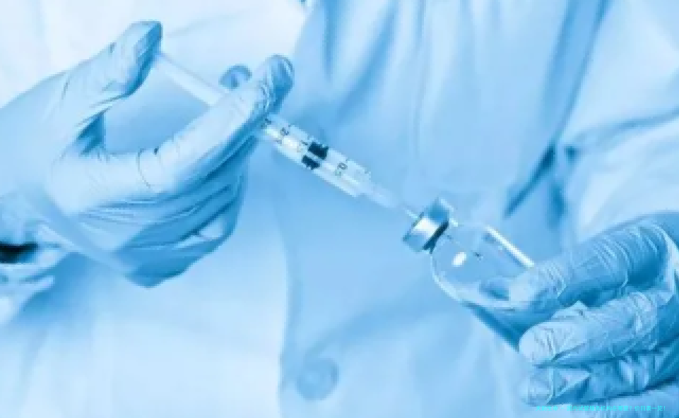 国内试管服务机构在哪里？价目表一览！