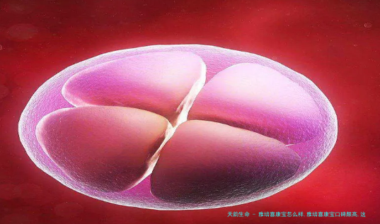 雅培喜康宝怎么样,雅培喜康宝口碑颇高,这5个优点功不可没