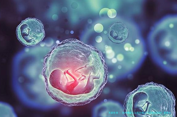 沧州哪家公立医院做三代试管比较好？需要注意哪些问题？