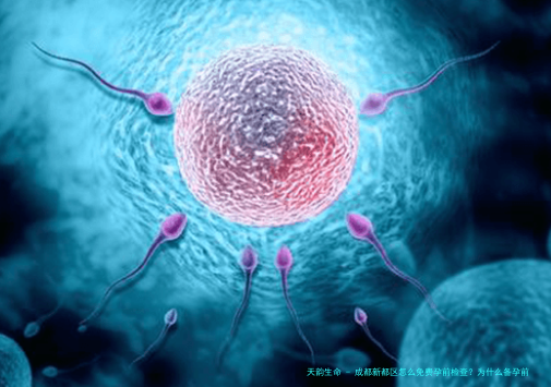 成都新都区怎么免费孕前检查？为什么备孕前一定要做这些项目!