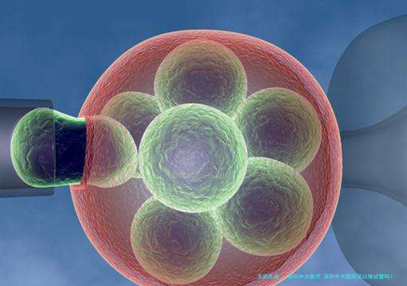 深圳中大医疗 深圳中大医院可以做试管吗？
