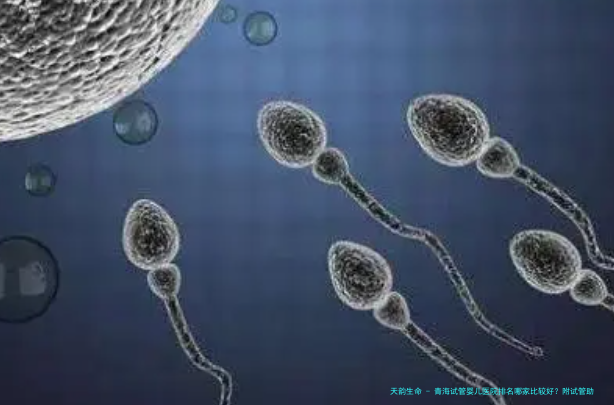 青海试管婴儿医院排名哪家比较好？附试管助孕机构费用明细！