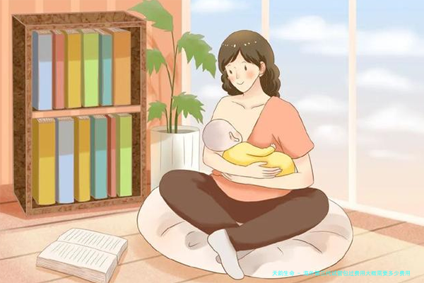 海外第三代试管包过费用大概需要多少费用