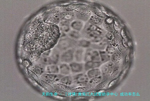 〖详情!青海三大试管助孕中心 成功率怎么样？〗