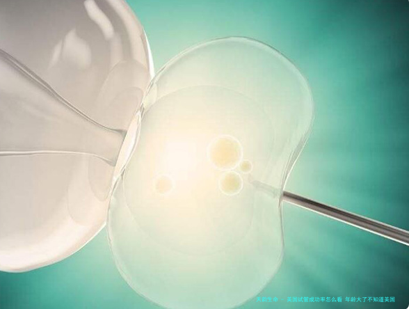 美国试管成功率怎么看 年龄大了不知道美国试管婴儿成功率如何