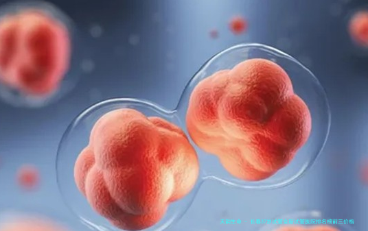 长春37岁试管全新试管医院排名榜前三价格为你收集！2025年全面解析_从医院选择、费用明细、数据到个性化方案制定的全流程指南