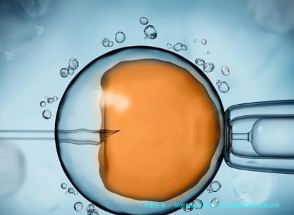 50岁做试管婴儿成功率这些因素影响成功率的高低