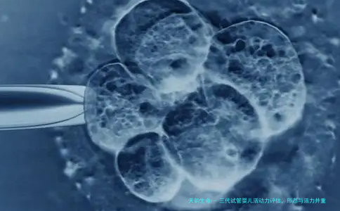 三代试管婴儿活动力评估，形态与活力并重