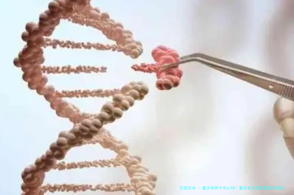 重庆有卵子中心吗？重庆有几家试管助孕医院？