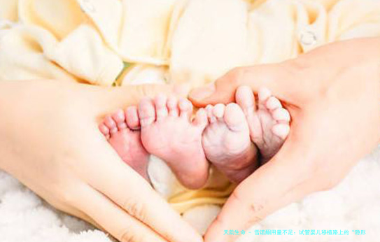 雪诺酮用量不足：试管婴儿移植路上的&ldquo;隐形障碍&rdquo;