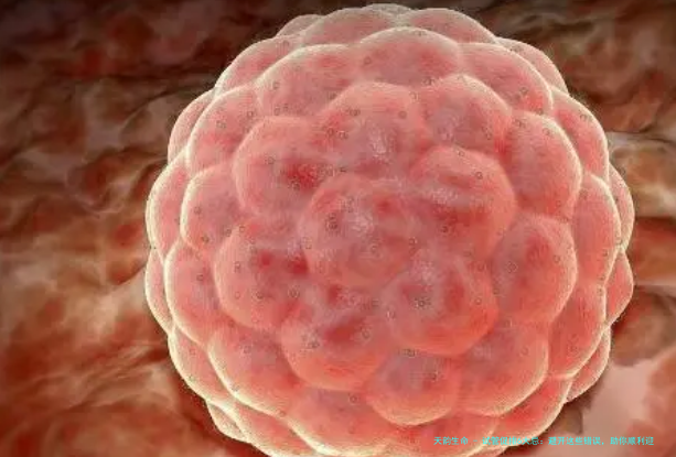 试管促排6大忌：避开这些错误，助你顺利迎接好孕