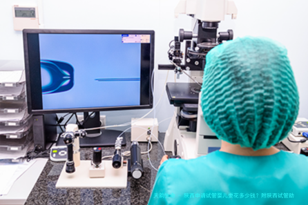 陕西申请试管婴儿要花多少钱？附陕西试管助孕医院排名