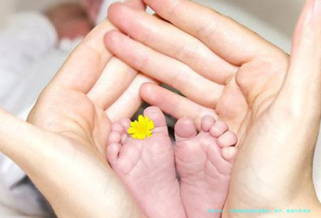 试管双胞胎成活率解析：技术、数据与影响因素