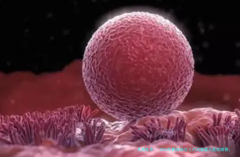 2026年鹤岗地区三代试管婴儿医院推荐，哪家医院更优秀？