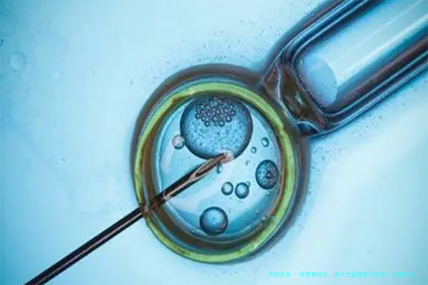 试管移植后，多久才能算安全怀孕？关键时间点全解析