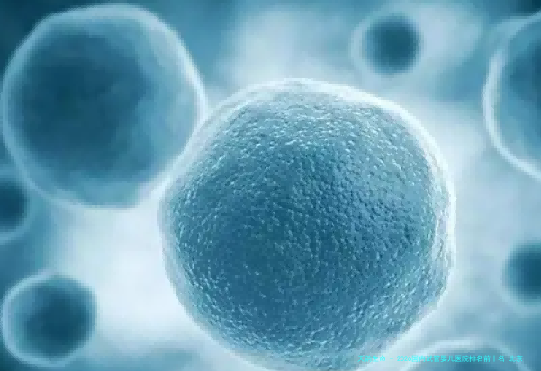 2026国内试管婴儿医院排名前十名 北京老字号与武汉科济又上榜了