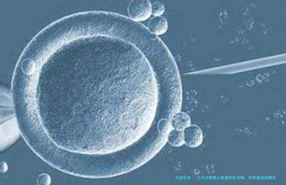 三代试管婴儿检查时机攻略，科学规划保障安心