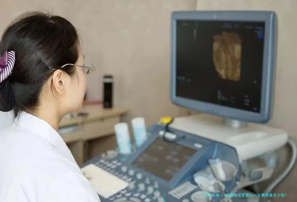 成都做试管婴儿一次费用是多少钱？