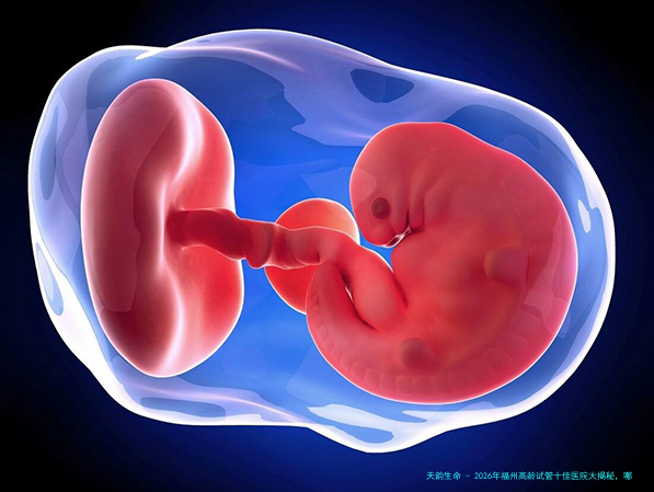 2026年福州高龄试管十佳医院大揭秘，哪家才是你的理想之选？