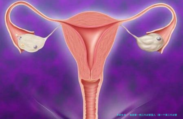 我国第一例三代试管婴儿（第一个第三代试管婴儿）
