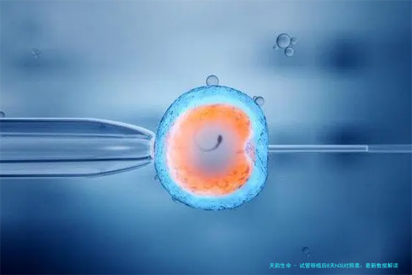 试管移植后8天hCG对照表：最新数据解读与实用建议