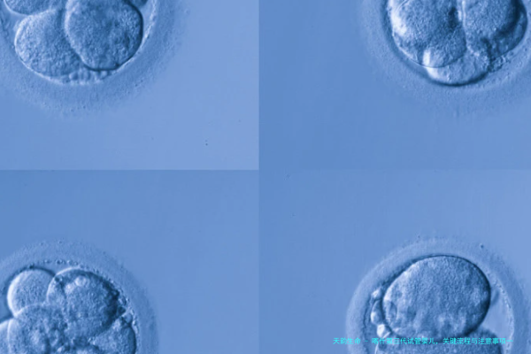 喀什第三代试管婴儿，关键流程与注意事项一览！