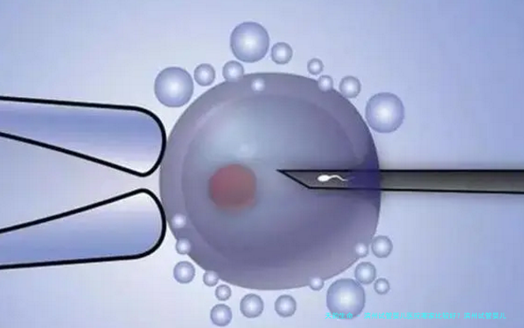 滨州试管婴儿医院哪家比较好？滨州试管婴儿医院哪家强？