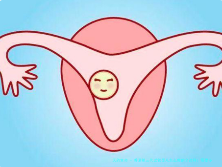 香港第三代试管婴儿怎么做的全过程！需要多少美金