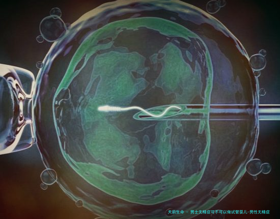 男士无精症可不可以做试管婴儿-男性无精症可以做人工受精吗？