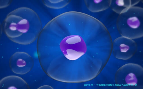 详细介绍2026成都西囡二代试管费用，需要多少钱不再存疑