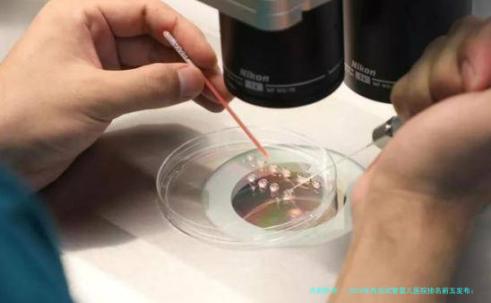 2026年西安试管婴儿医院排名前五发布：附生殖中心选择指南与费用明细