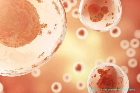 2026年广州特纳氏综合症试管婴儿医院与医生选择指南：附、费用解析及真实患者评价