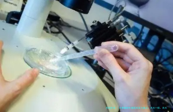 长春辅助生殖医院实力盘点：吉大一院、吉大二院等知名机构领衔，附试管婴儿项目费用明细参考