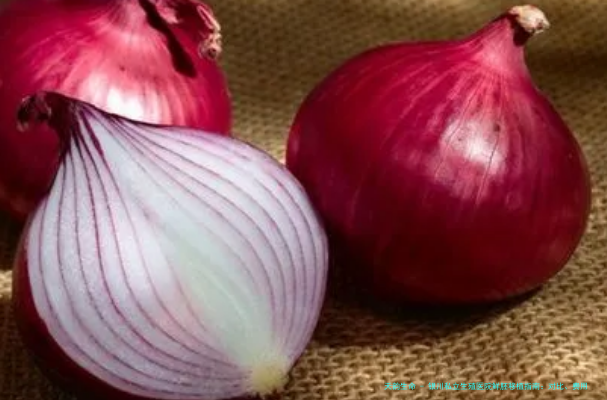 银川私立生殖医院鲜胚移植指南：对比、费用解析及本地口碑机构推荐