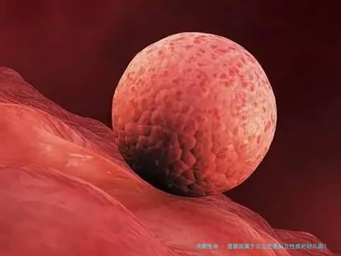 普惠园属于公立还是私立性质的幼儿园？