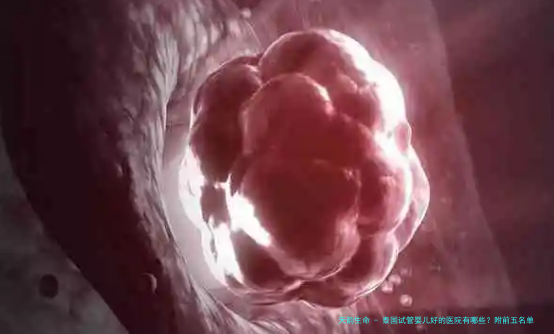 泰国试管婴儿好的医院有哪些？附前五名单