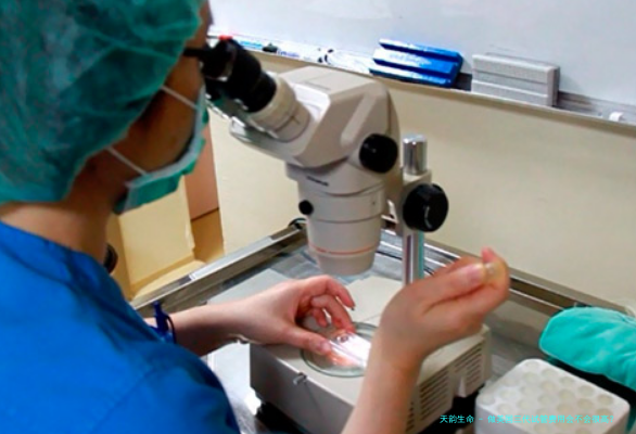 做美国三代试管费用会不会很高？