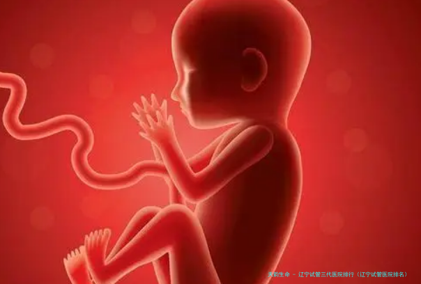 辽宁试管三代医院排行（辽宁试管医院排名）,辽宁省能做试管的医院！