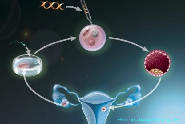 石家庄比较出名试管医院排名榜,石家庄试管比较好的医院排名！